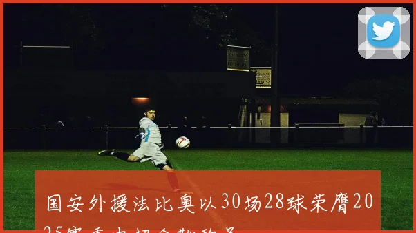 国安外援法比奥以30场28球荣膺2025赛季中超金靴称号