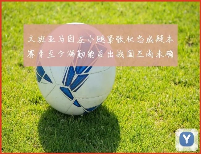 文班亚马因左小腿紧张状态成疑本赛季至今满勤能否出战国王尚未确定