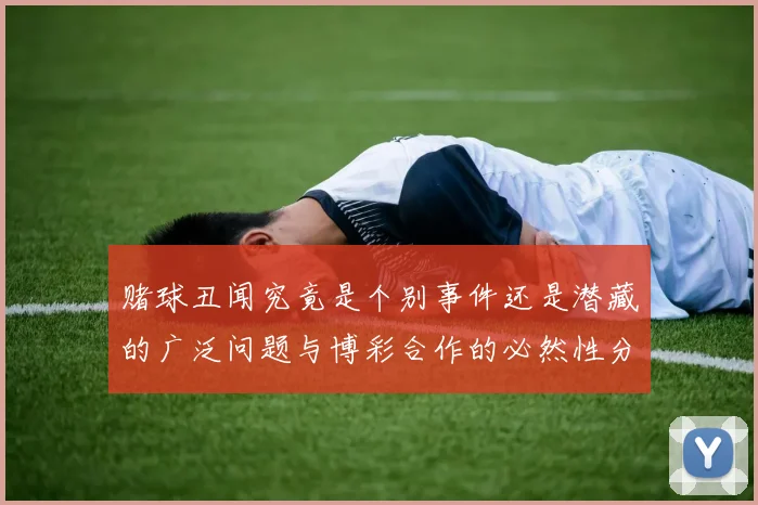 赌球丑闻究竟是个别事件还是潜藏的广泛问题与博彩合作的必然性分析