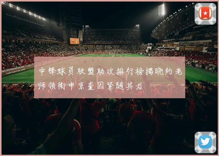 中锋球员联盟助攻排行榜揭晓约老师领衔申京奎因紧随其后