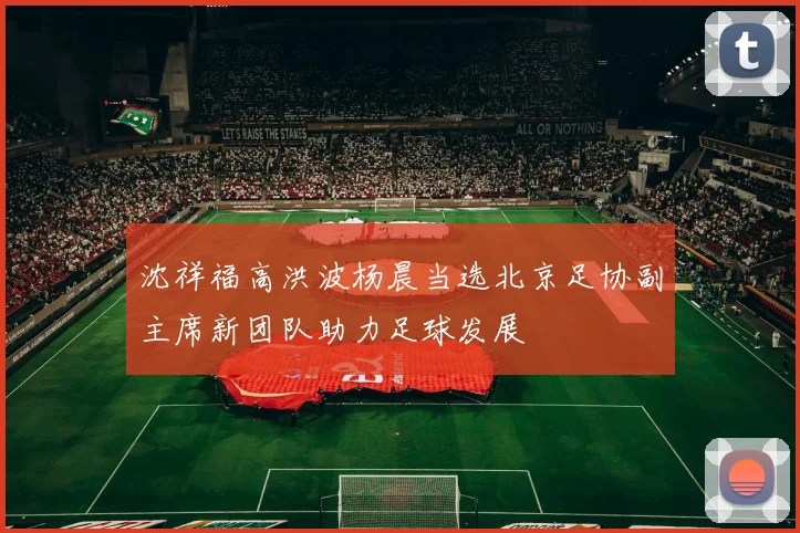 沈祥福高洪波杨晨当选北京足协副主席新团队助力足球发展